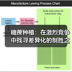 糖蔗种植：在激烈竞争中找寻差异化的制胜之道