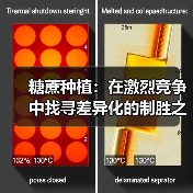 糖蔗种植：在激烈竞争中找寻差异化的制胜之道（图4）