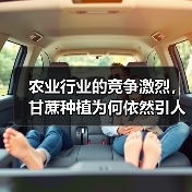 农业行业的竞争激烈，甘蔗种植为何依然引人注目？这不仅仅在于产业的庞大市场，更在于含糖差异化带来的无限可能。从实际观察到的市场变化，到独家调研数据，再到我个人在甘（图2）