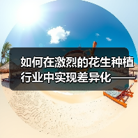 如何在激烈的花生种植行业中实现差异化——花生种植的秘诀与行业内幕