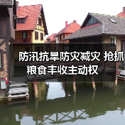 防汛抗旱防灾减灾 抢抓粮食丰收主动权（图1）