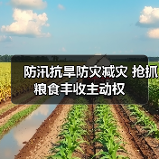 防汛抗旱防灾减灾 抢抓粮食丰收主动权（图2）