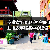 安徽省1300万资金如何助推农事服务中心建设？（图4）