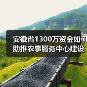 安徽省1300万资金如何助推农事服务中心建设？（图3）