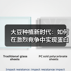 大豆种植新时代：如何在激烈竞争中实现蛋白质差异化