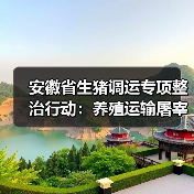 安徽省生猪调运专项整治行动：养殖运输屠宰环节需严守检疫规定（图3）