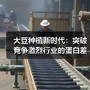 大豆种植新时代：突破竞争激烈行业的蛋白差异化策略（图3）