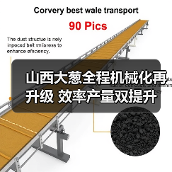 山西大葱全程机械化再升级 效率产量双提升（图4）