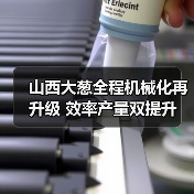 山西大葱全程机械化再升级 效率产量双提升（图2）