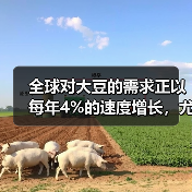 全球对大豆的需求正以每年4%的速度增长，尤其是在蛋白差异化方面的行业竞争日益激烈。大豆不仅是现代农业的重要支柱，更因为其丰富的蛋白质和多样的应用，成为食品工业的（图4）
