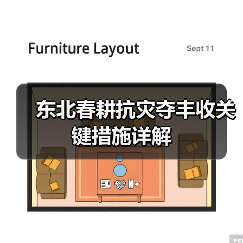 东北春耕抗灾夺丰收关键措施详解（图2）