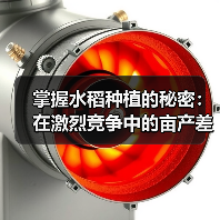 掌握水稻种植的秘密：在激烈竞争中的亩产差异化之道（图3）