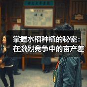 掌握水稻种植的秘密：在激烈竞争中的亩产差异化之道（图4）