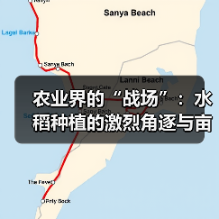 农业界的“战场”：水稻种植的激烈角逐与亩产差异化揭秘（图4）
