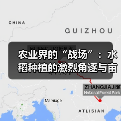 农业界的“战场”：水稻种植的激烈角逐与亩产差异化揭秘（图3）