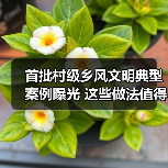 首批村级乡风文明典型案例曝光 这些做法值得借鉴（图1）