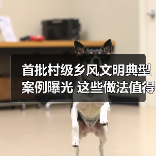 首批村级乡风文明典型案例曝光 这些做法值得借鉴（图3）