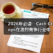 2026年必读：Cash Crops在激烈竞争行业中的盈利秘诀（图3）