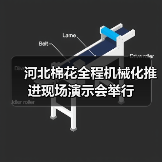 河北棉花全程机械化推进现场演示会举行（图3）