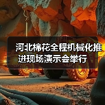 河北棉花全程机械化推进现场演示会举行（图4）