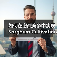 如何在激烈竞争中实现Sorghum Cultivation的差异化竞争（图3）