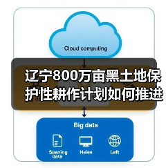 辽宁800万亩黑土地保护性耕作计划如何推进？（图4）