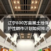 辽宁800万亩黑土地保护性耕作计划如何推进？（图1）