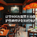 辽宁800万亩黑土地保护性耕作计划如何推进？（图2）