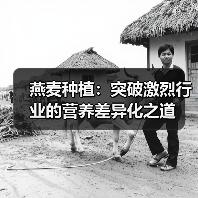 燕麦种植：突破激烈行业的营养差异化之道（图3）