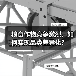 粮食作物竞争激烈，如何实现品类差异化？（图3）