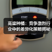 高粱种植：竞争激烈行业中的差异化策略揭秘