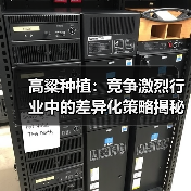 高粱种植：竞争激烈行业中的差异化策略揭秘（图4）