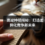 高粱种植揭秘：打造差异化竞争新未来（图3）