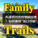 科学应对农作物病虫害！如何确保