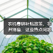 农机春耕补贴政策、非洲猪瘟，这些热点问题你了解吗？（图4）