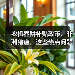 农机春耕补贴政策、非洲猪瘟，这些热点问题你了解吗？（图2）