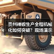 贵州辣椒生产全程机械化如何突破？现场演示引发关注（图4）