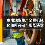 贵州辣椒生产全程机械化如何突破？现场演示引发关注（图3）