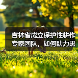 吉林省成立保护性耕作专家团队，如何助力黑土地保护？（图2）