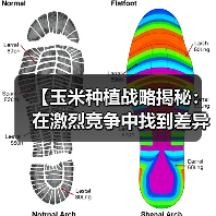 【玉米种植战略揭秘：在激烈竞争中找到差异化突破】