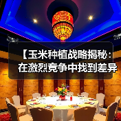 【玉米种植战略揭秘:在激烈竞争中找到差异化突破】(图2) 【玉米种植战略揭秘:在激烈竞争中找到差异化突破】(图2)