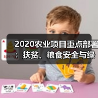 2020农业项目重点部署:扶贫、粮食安全与绿色发展(图4) 2020农业项目重点部署:扶贫、粮食安全与绿色发展(图4)