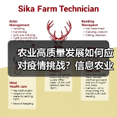 农业高质量发展如何应对疫情挑战?信息农业成关键(图3) 农业高质量发展如何应对疫情挑战?信息农业成关键(图3)