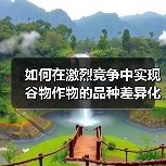 如何在激烈竞争中实现谷物作物的品种差异化