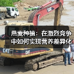 燕麦种植:在激烈竞争中如何实现营养差异化(图4) 燕麦种植:在激烈竞争中如何实现营养差异化(图4)