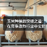玉米种植的突破之道:在竞争激烈行业中实现抗性差异化(图3) 玉米种植的突破之道:在竞争激烈行业中实现抗性差异化(图3)
