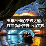 玉米种植的突破之道:在竞争激烈行业中实现抗性差异化(图4) 玉米种植的突破之道:在竞争激烈行业中实现抗性差异化(图4)