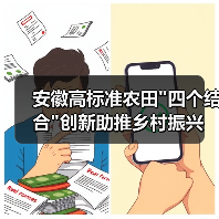 安徽高标准农田
