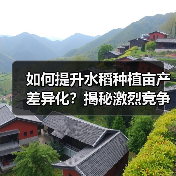 如何提升水稻种植亩产差异化?揭秘激烈竞争行业的制胜关键(图4) 如何提升水稻种植亩产差异化?揭秘激烈竞争行业的制胜关键(图4)