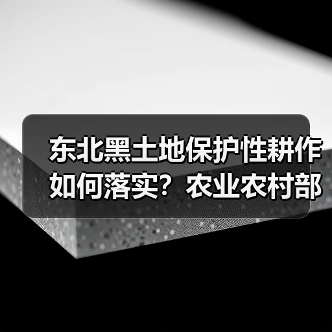 东北黑土地保护性耕作如何落实?农业农村部部署关键行动(图2) 东北黑土地保护性耕作如何落实?农业农村部部署关键行动(图2)